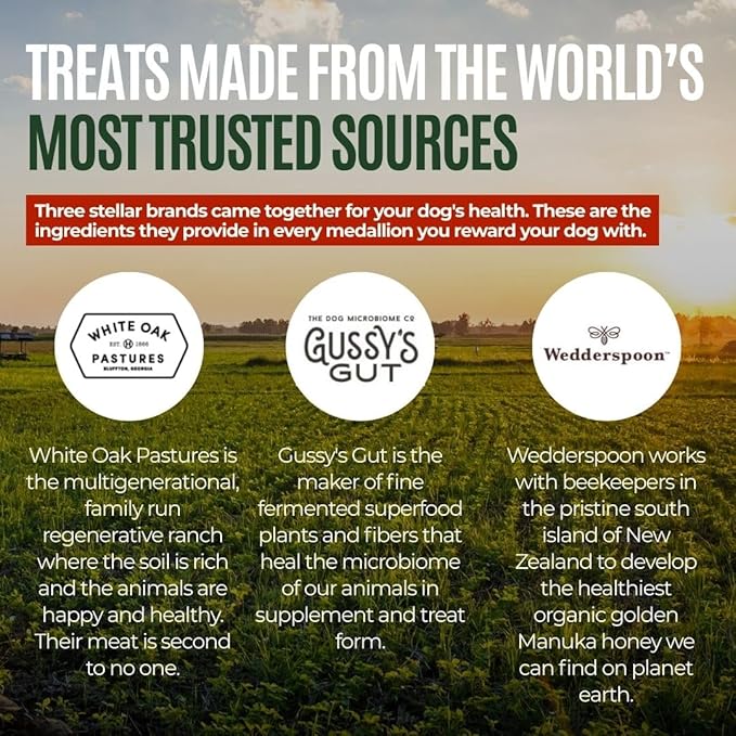 GUSSY'S GUT GutAbles- Award Winning White Oak Pastures Pork & Fermented Prebiotic Treat for Dog Gut & Digestive Health- Human Grade Ingredients – Gussy’s Delight Phase