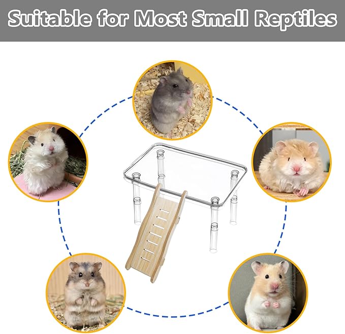 Hamster Platform Acrylic Small Animal Play Activity Resting Stand Climbing Cage Toy with Ladder for Dwarf Syrian Hamsters Gerbils Mice Sugar Glider