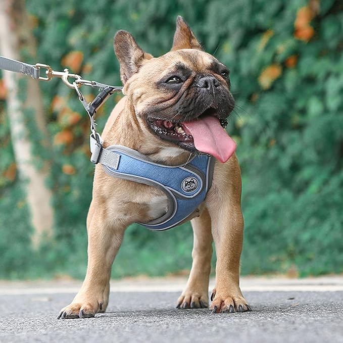 Large Dog Harness and Leash Set,No Pull Adjustable Step in Soft Mesh Vest Harness,Easy Walk Reflective Pet Harness with Padded Handle for Walking Training Small Medium Large Dogs and Cats (Blue, L)