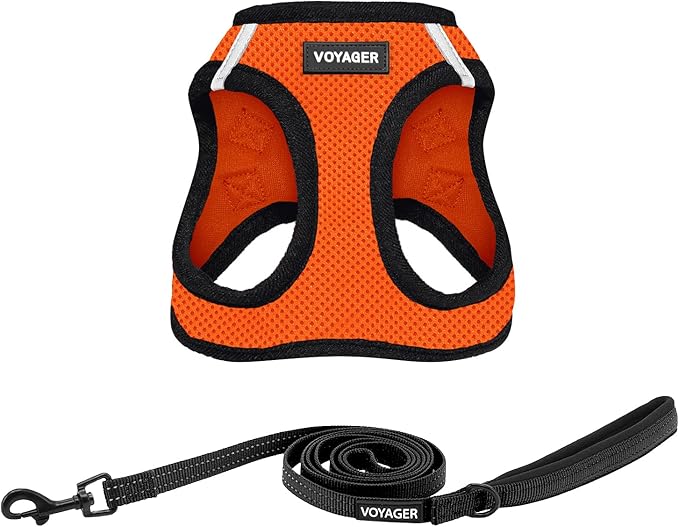Voyager Step-in Air All Weather Mesh Harness and Reflective Dog 5 ft Leash Combo with Neoprene Handle, for Small, Medium and Large Breed Puppies by Best Pet Supplies - Orange, Small