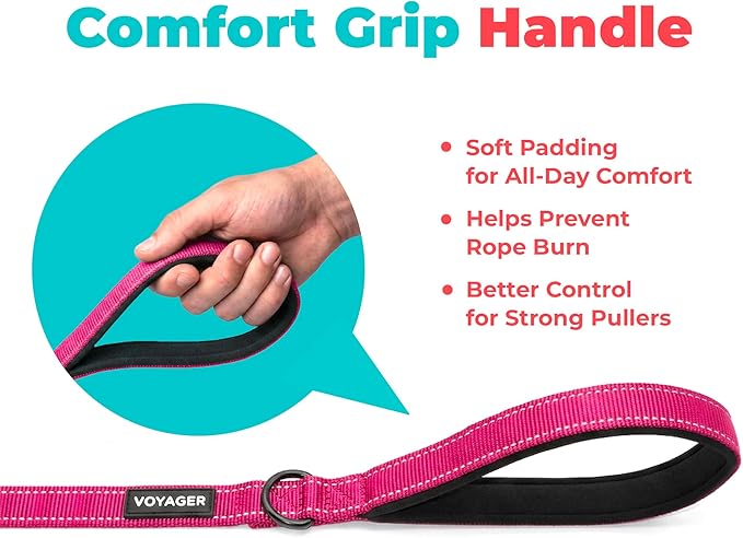Best Pet Supplies Voyager Reflective Dog Leash or Collar with Neoprene Handle, for Small, Medium, and Large Breed Puppies, Cute and Heavy Duty for Walking, Running and Training - Fuchsia (Leash), M