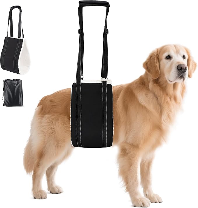 AIITLE Upgraded Dog Carrier Sling for Hind Leg Support - Adjustable Reflective Design with Plush Thick Padding, Ideal for Senior/Arthritic Dogs & Post-Surgery Recovery (Black, L)