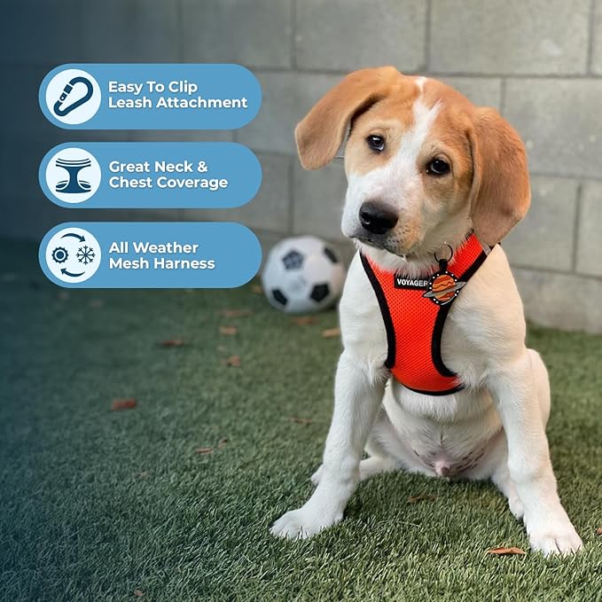 Voyager Step-in Air All Weather Mesh Harness and Reflective Dog 5 ft Leash Combo with Neoprene Handle, for Small, Medium and Large Breed Puppies by Best Pet Supplies - Orange, Medium