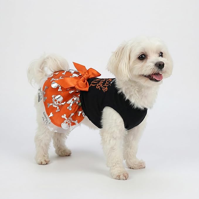 Fitwarm Hocus Pocus Y'all Funny Dog Halloween Tulle Dress, Holiday Dog Clothes for Small Dogs Girl, Funny Pirate Skull Pet Costume, Witch Cat Outfit, Orange, Black, Small