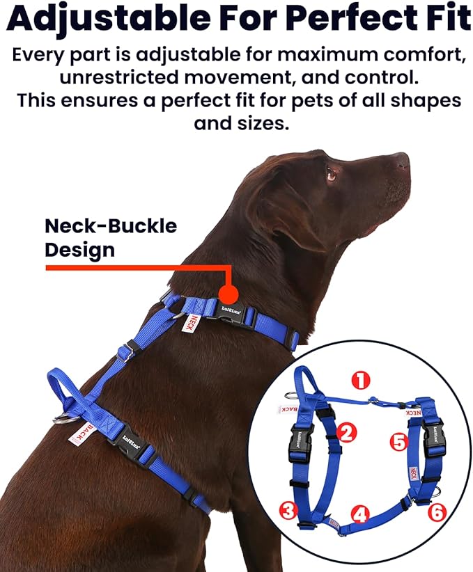 Non-Restrictive No Pull Dog Harness, Neck Buckle Design, Back Handler, Easy Walk Freedom Harness Keep Balance, Sewn-in Instructions Labels, for Large Dogs Chest(25-35 inches) Blue