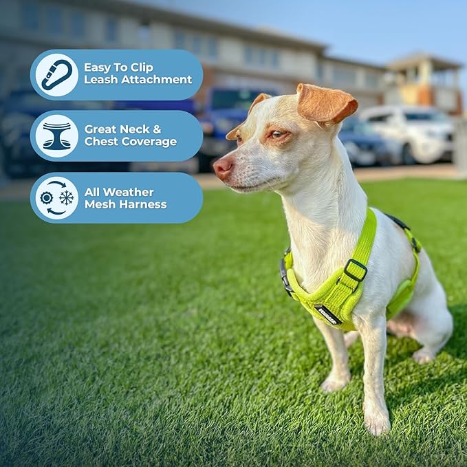 Best Pet Supplies Voyager Step-in Air All Weather Mesh Harness and Reflective Dog 5ft Leash Combo with Neoprene Handle, for Small, Medium and Large Breed Puppies - Set (Lime Green), Large