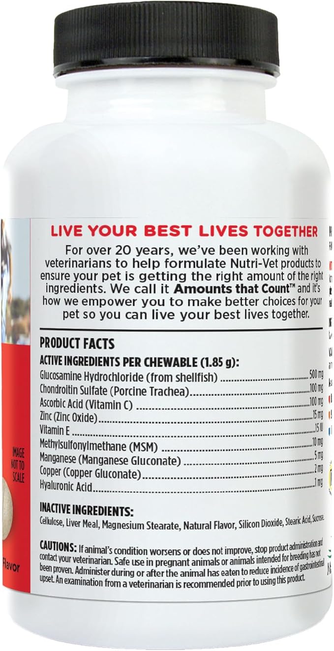 Nutri-Vet Hip & Joint Regular Strength Joint Dog Supplements, Formulated with Glucosamine Chondroitin, Pet Supplies, Hip Supplement for Dogs, Glucosamine Chews, Puppy Essentials, 75 Count Chewables