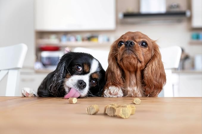Hive Bites Training Treats for Dogs – Peanut Flavor – Small Reward Treats Dogs, Vegetarian, No Grain or Soy - 2 Pack, 6 oz Each