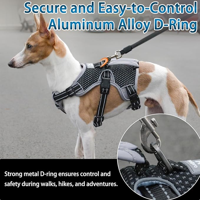 BELPRO Multi-Use Support Dog Harness, Escape Proof No Pull Reflective Adjustable Vest with Durable Handle, Dog Walking Harness for Big/Active Dogs (Black, M)