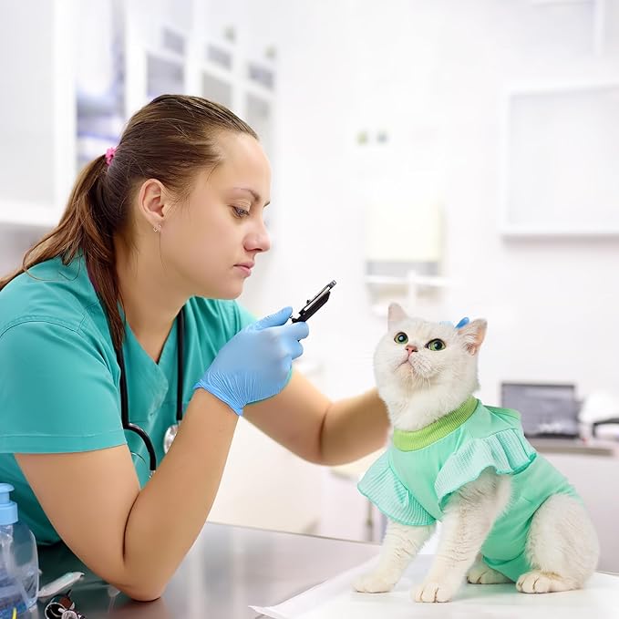 Avont Cat Recovery Suit - Post-Surgery Onesie for Cats, Alternative to Cone of Shame, Protective Spay Suit for Female Kitten, Ideal for Healing and Skin Conditions -Mintgreen(S)