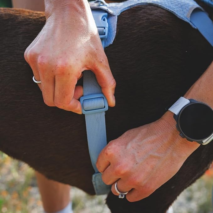 Ruffwear, Front Range Flex Dog Harness, Engineered Knit Construction for Ultimate Fit and Mobility, Lightweight Flexible Everyday Harness with Dual Leash Clips, Basalt Gray, Medium