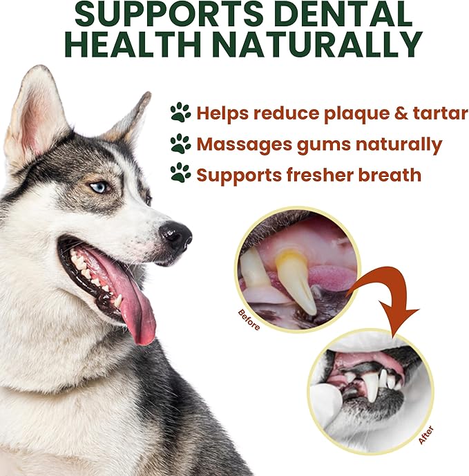 6 Pack 10 Inch Beef Cheek Rolls Extra Thick for Large Dogs – Digestible Rawhide Alternative Chews, Long Lasting Dental Treats, Single Ingredient Natural Dog Chews for Dogs