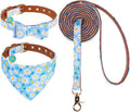 EXPAWLORER Small Collar and Leash Set - Embroidery Pawprints with Bow Tie and Bandana Collar with Bell, Soft Tangle Free Leash for Dogs Cats Outdoor Walking, Holiday Ideal Gift Blue Daisy S