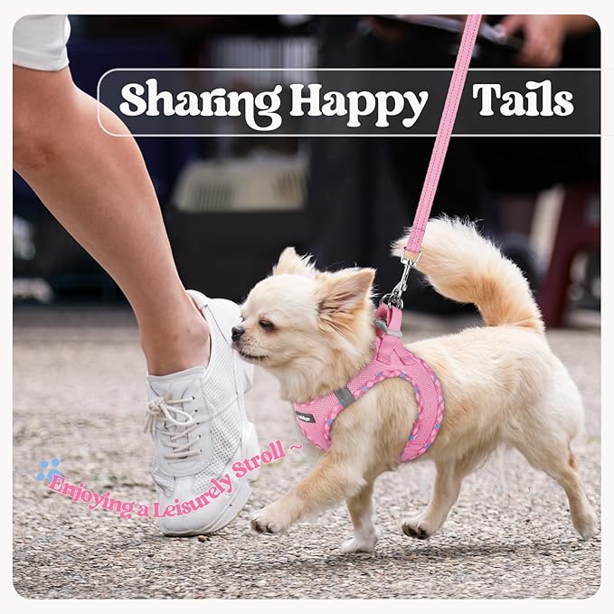 rabbitgoo Dog Harness Small Sized and Leash Set, Step in Soft Light Puppy Vest, Breathable Mesh Pet Harness, Reflective for Safe Easy Walking, Pink & Plaid Trim XS