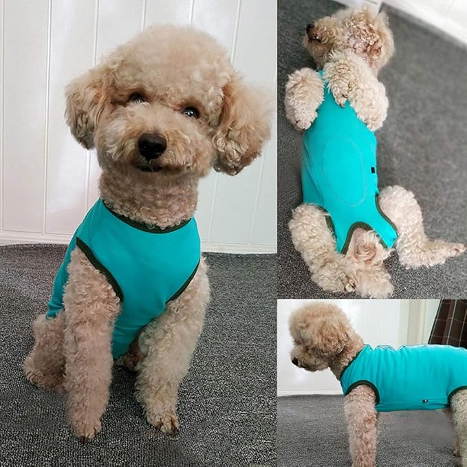 Dog’s Recovery Suit Post Surgery Shirt for Puppy, Wound Protective Clothes for Little Animals(Blue-XXS)
