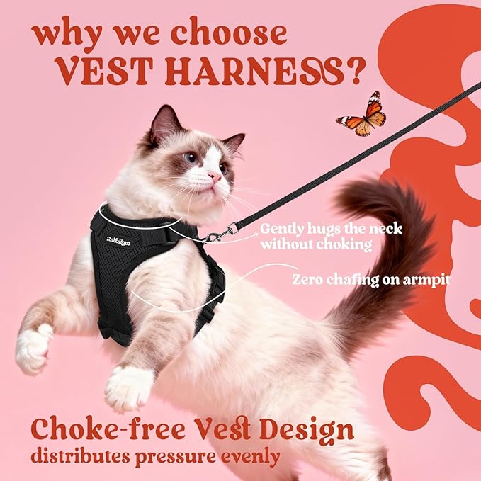 rabbitgoo Cat Harness and Leash for Walking, Escape Proof Soft Adjustable Vest Harnesses for Cats, Easy Control Breathable Reflective Strips Jacket, Black, M