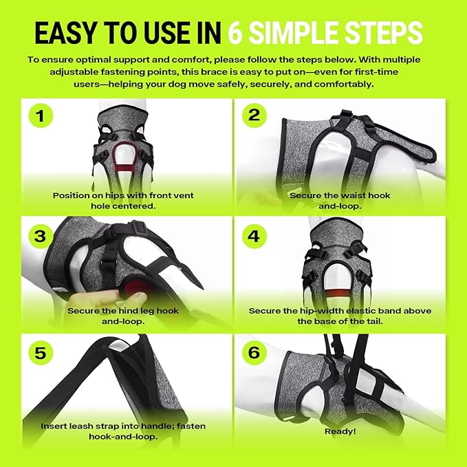 Dog Lift Harness – Adjustable Hind Leg Support Sling for Medium & Large Dogs, Soft Padded Mobility Aid for Senior, Injured & Arthritic Dogs