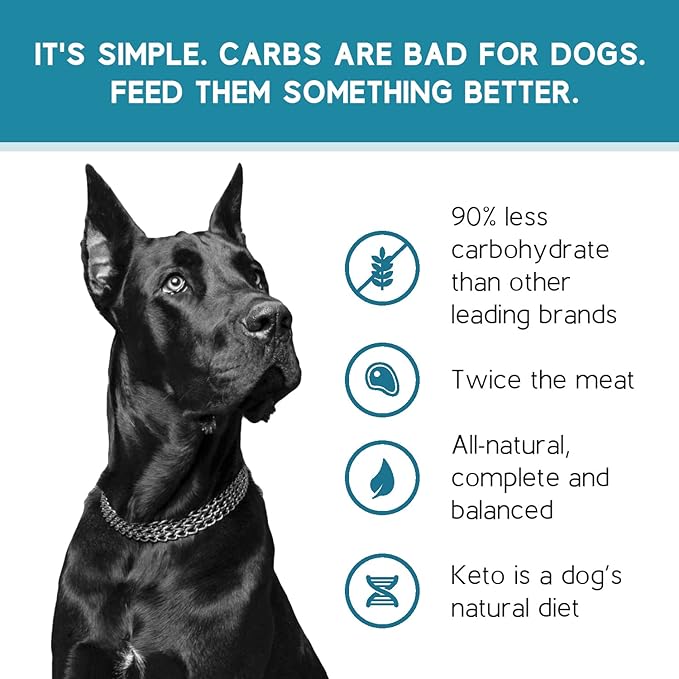 Ketona Salmon Recipe Adult Dry Dog Food, Natural, Low Carb (Only 5%), High Protein (46%), Grain-Free, The Nutrition of a Raw Diet with The Cost and Convenience of a Kibble; 24.2 lb