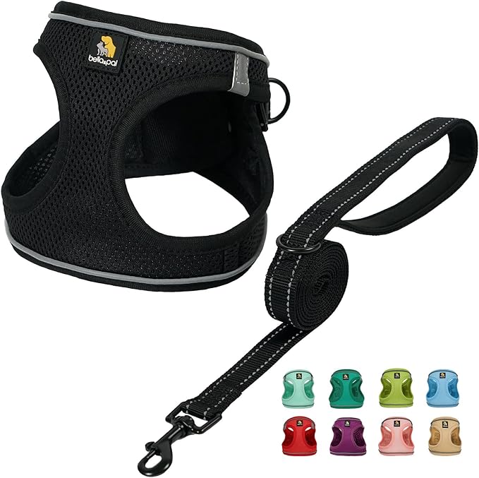 BELLA & PAL Step in Vest Harness for Small and Medium Dogs, No Pull Small Dog Harness with Leash Set, Comfortable Air Mesh Dog Vest Harness with Reflective Strip (Deep Black, M)