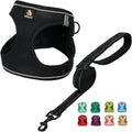 BELLA & PAL Step in Vest Harness for Small and Medium Dogs, No Pull Small Dog Harness with Leash Set, Comfortable Air Mesh Dog Vest Harness with Reflective Strip (Deep Black, L)
