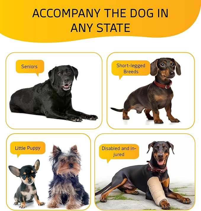 ABCPET Dog Stairs for High Bed, Dog Steps for Bed Couch Sofa, 35D Foam Extra Wide Pet Steps for Small Dogs and Cats, Pet Stairs with Non-Slip Bottom Grey, 5 Steps