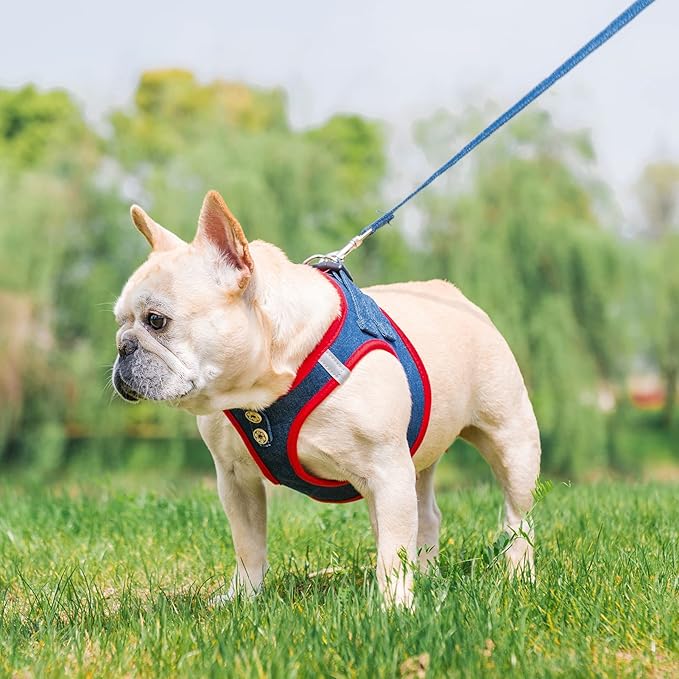 PUPTECK Dog Harness and Leash Set for Small Medium Dogs No Pull Step-in Soft Mesh Puppy Cat Vest Harnesses Reflective at Night, Denim NavyBlue XS