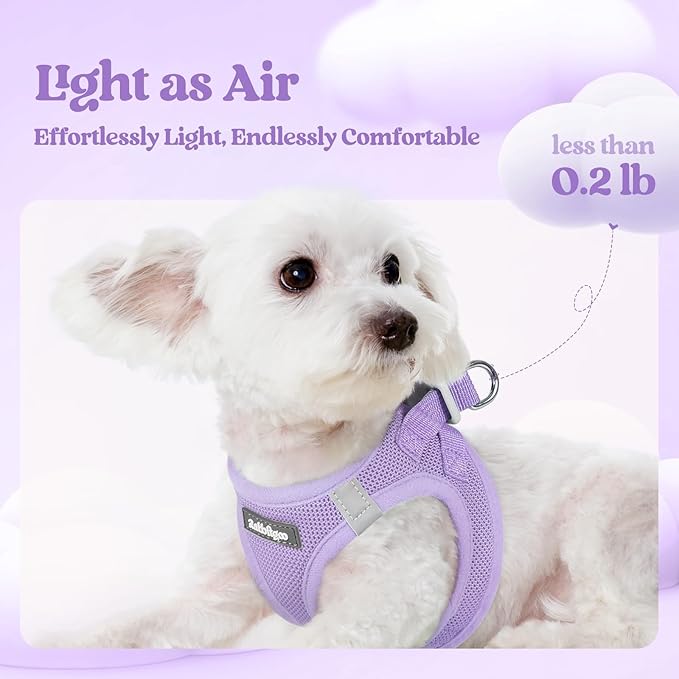 rabbitgoo Dog Harness Small Sized and Leash Set, Step in Soft Light Puppy Vest, Breathable Mesh Pet Harness, Reflective for Safe Easy Walking, Light Purple XXXS