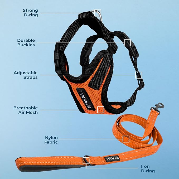 Best Pet Supplies Voyager Step-in Lock Pet Harness w Reflective Pet Leash Combo Set with Neoprene Handle 5ft - Supports Small, Medium and Large Breed Puppies/Cats - Orange/Black Trim Set, L