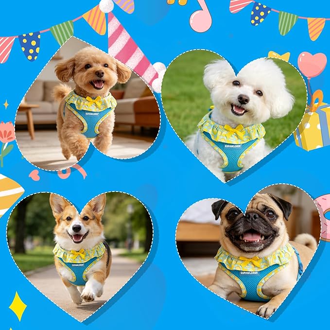 EXPAWLORER Cute Dog Harness Collar Leash Set - Blue Girl Dog Harness Checkered Step-in Design, Adjustable No-Choke Lightweight Mesh Vest for Cats Puppy Small Dogs, Lemon XS