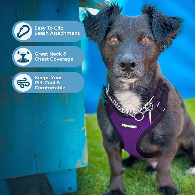 Best Pet Supplies Voyager Step-in Lock Pet Harness w Reflective Pet Leash Combo Set with Neoprene Handle 5ft - Supports Small, Medium and Large Breed Puppies/Cats - Purple/Black Trim Set, S