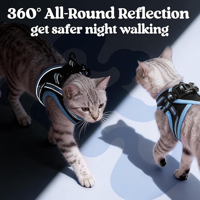 rabbitgoo Cat Harness and Leash Set for Walking Escape Proof, Adjustable Soft Kittens Vest with Reflective Strip for Cats, Comfortable Outdoor Vest, Black & Light Blue, M