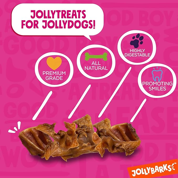 Pig Ears Slivers, All Natural Single Ingredient Pork Strips Dog Treats, Excellent Rawhide Alternative, Dog Chews for Large and Small Dogs (1Lb)