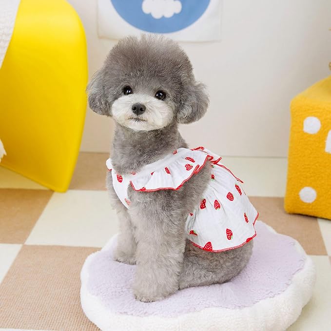 Dog Dresses for Small Dogs Girl Female Clothes Cat Clothes Cat Dress Cute Cotton Extra Summer Bow Decor Printed Strawberry Dog Birthday Outfit Small Puppy Clothes White L
