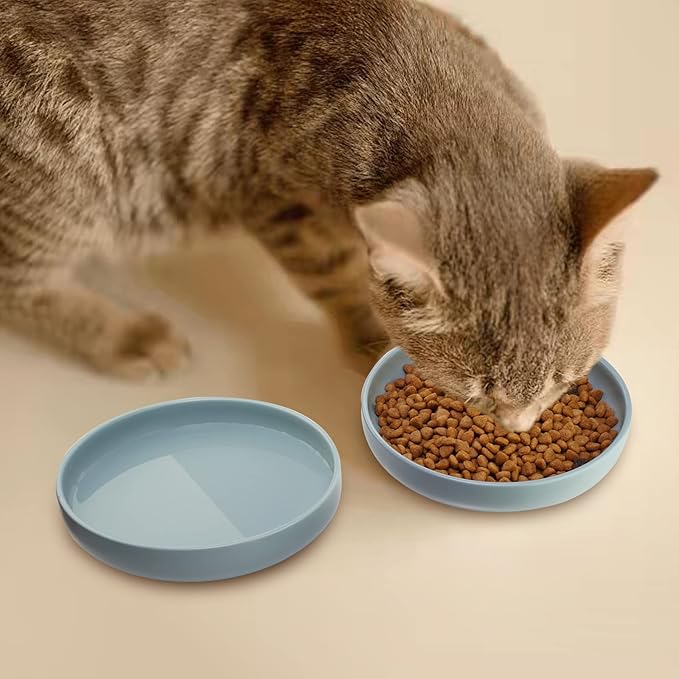 Ceramic Cat Bowls,Shallow Cat Dishes for Food and Water, 6 inch Matte Finish Wide Cat Food Bowl,Whisker Fatigue Free Pet Puppy Kitten Bowl Set of 3,Dishwasher Safe