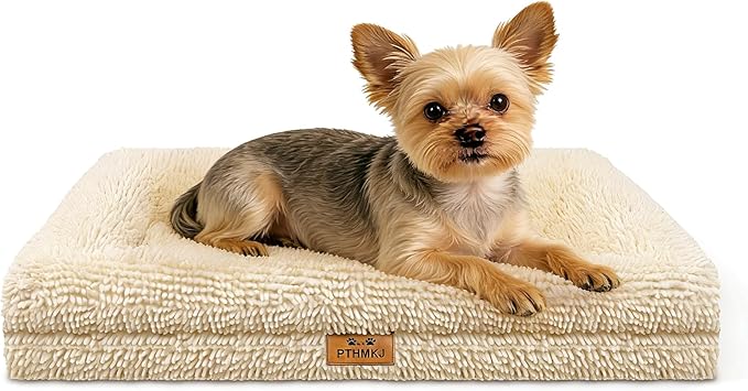 Orthopedic Dog Bed for Medium Dog Cat Noodle Cover Egg-Foam Dog Cat Bed Medium Pet Sofa with Removable Cover Washable Waterproof Pet Couch Beds (White, 30.0" L x 20.0" W x 6.3" Th)