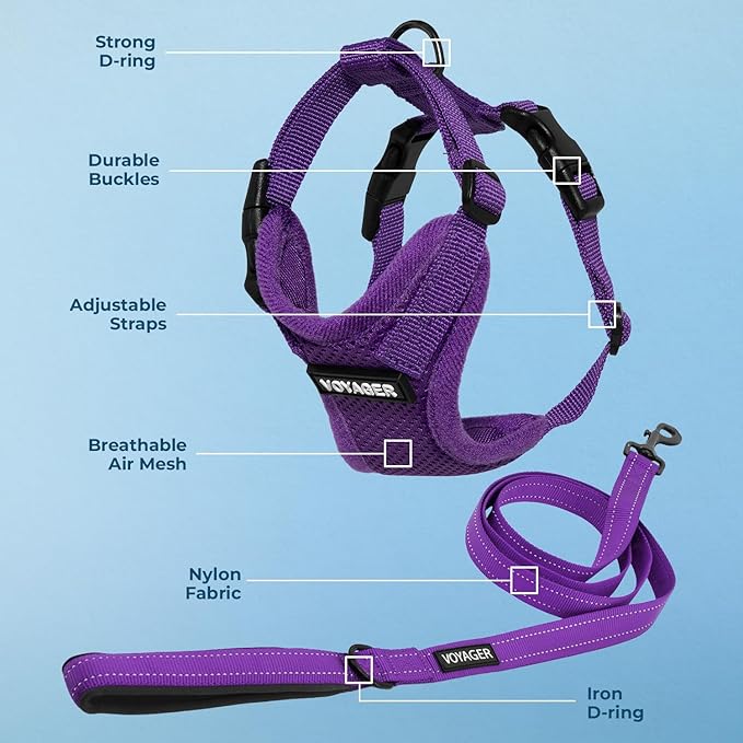 Best Pet Supplies Voyager Step-in Lock Pet Harness w Reflective Pet Leash Combo Set with Neoprene Handle 5ft - Supports Small, Medium and Large Breed Puppies/Cats - Purple Set, S