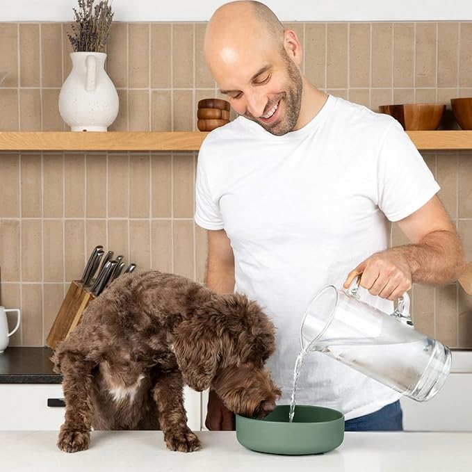 Should We Go? Dog Water Bowl - The Perfect Dish No-Spill Less Mess Non-Tippable Water & Food Bowl, Pure Silicone with Suction Cup Fits 5 Cups 7.5" Across x 2.25" Tall Ideal for All Pets, Medium-Spruce