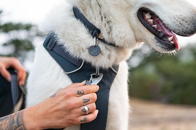 Ruffwear, Front Range Dog Collar, Adjustable Tubelok Webbing, Lightweight, Side Release Buckle, Aluminum V-Ring, Durable for Everyday Use, Basalt Gray, 11"-14"