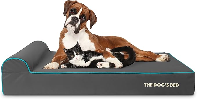 The Dog’s Bed Orthopedic Memory Foam Dog Bed with Headrest, Calming Surface – CertiPUR-Certified Foam, Oxford Fabric, Grey with Blue Trim, XL, 6-Inch