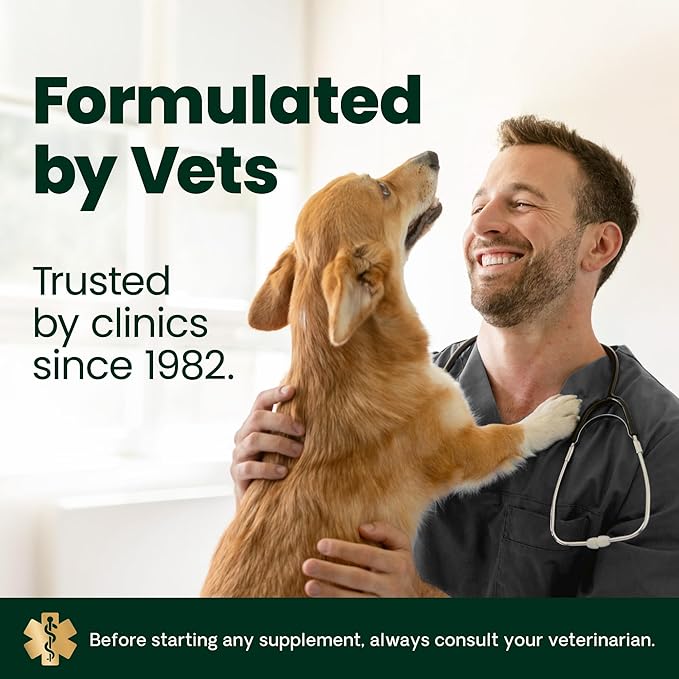 VetriScience Senior Calm & Confident Soft Chews with Colostrum and L-Theanine, Golden Years Calming, Cognition and Brain Health, Sundowners Supplement for Senior Dogs, Chicken, 60 Count