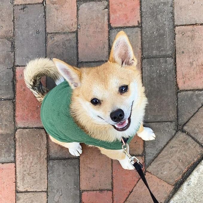 Gooby Stretch Fleece Vest Dog Sweater - Forest Green, 2X-Large - Warm Pullover Super Stretchy Fleece Dog Jacket for Small to Large Dogs