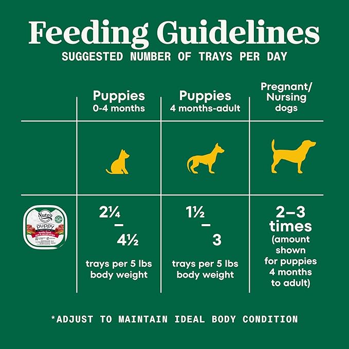 Nutro Puppy Grain Free Dog Food, Natural Wet Dog Food Bites in Gravy Tender Beef, Pea & Carrot Recipe, 3.5 oz. Trays (24 Count, Pack of 1)