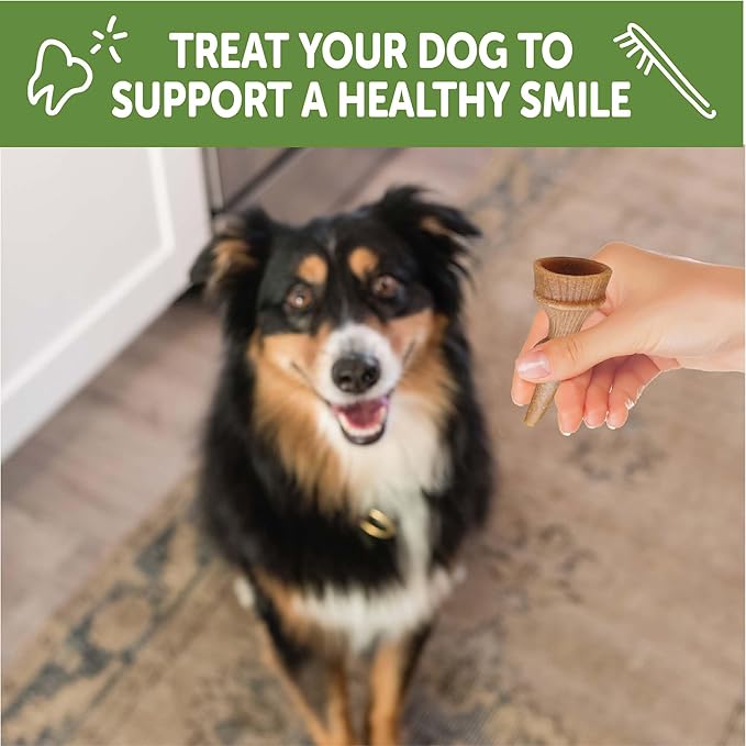 WHIMZEES Wellness Occupy Dog Dental Treats, Small Size, (24 Count)