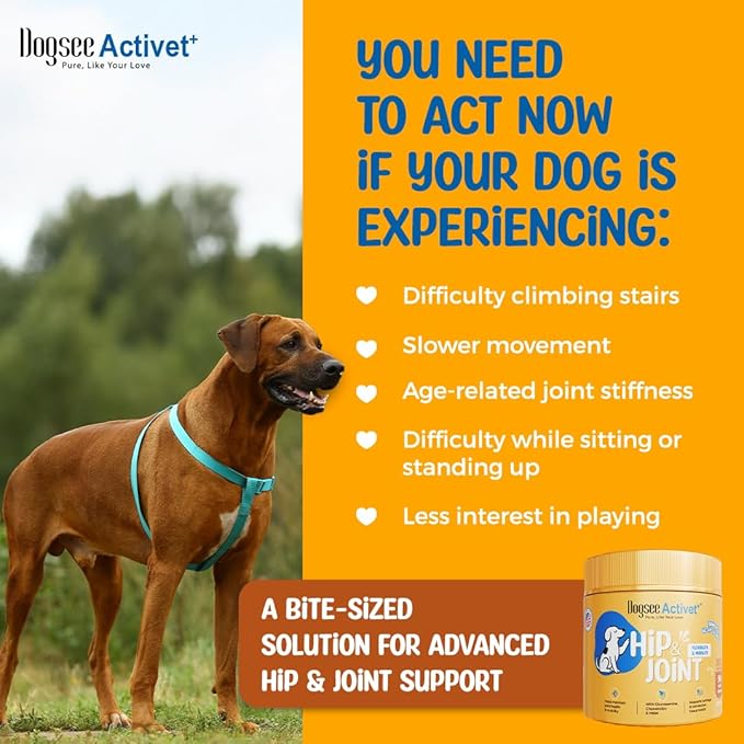 Dogsee Activet+ Dog Hip & Joint Supplement Chews, with Glucosamine, Chondroitin, MSM, Collagen & Omega 3, Mobility & Cartilage Support, Chicken Flavor – 90 Chews