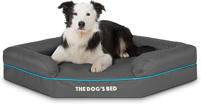 The Dog’s Bed Orthopedic Memory Foam Corner Dog Bed, Calming Surface – CertiPUR-Certified Foam, Oxford Fabric, Grey with Blue Trim, Large