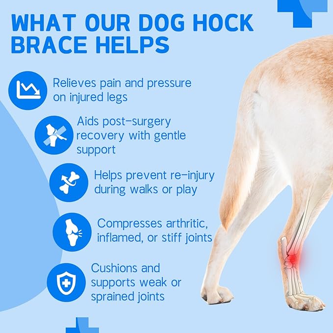Dog Leg Brace Canine Rear Leg Support, Relieve Pain from Sprains, Arthritis, Enhancing Stability, Helps with Loss of Stability from Arthritis(Blue,S)