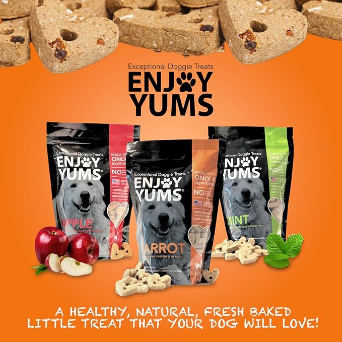 Carrot Dog Treats – 1 lb Bag – All-Natural, Low Sugar, Crunchy Baked Biscuits – Vet-Approved Snacks for Dogs – Made in USA
