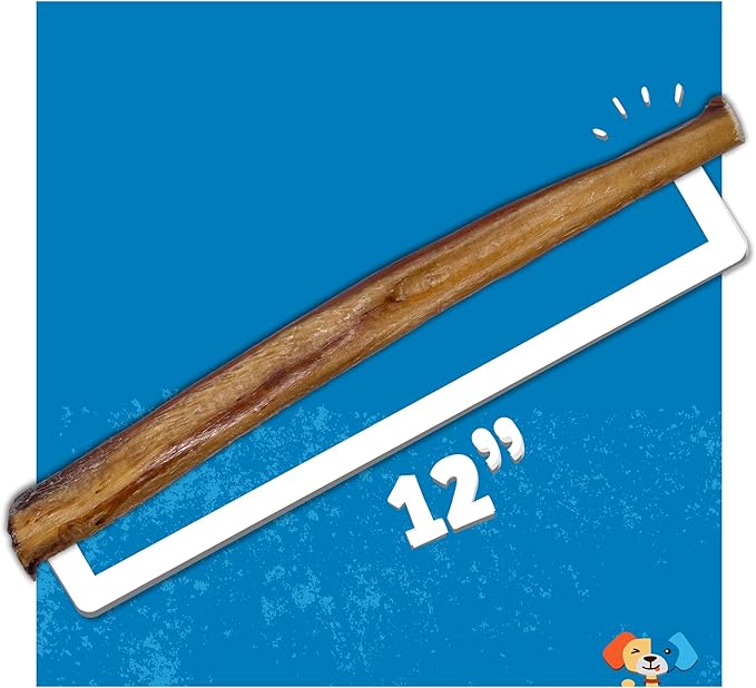 Jack&Pup 12 Inch Jumbo Bully Sticks for Dogs (3 Pack) Single Ingredient Dog Bully Sticks for Large Dogs and Aggressive Chewers