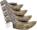 Icelandic+ Lamb Horn with Marrow - Small - 4-5.5" Dog Chew, Long-Lasting Treat, Puppy-Small Dogs, Keratin, All-Natural, Pet Snack, Edible & Digestible (Pack of 4)