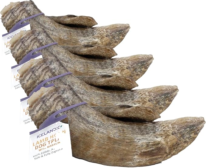 Icelandic+ Lamb Horn with Marrow - Small - 4-5.5" Dog Chew, Long-Lasting Treat, Puppy-Small Dogs, Keratin, All-Natural, Pet Snack, Edible & Digestible (Pack of 4)